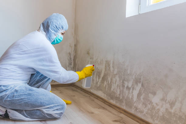 Hvac And Air Duct Mold Remediation inspection of HVAC system in Maple Valley