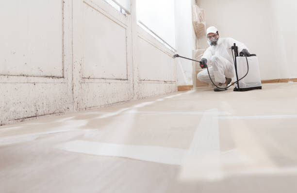 Post-remediation clearance in Maple Valley